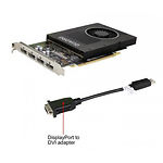 Изображение Видеокарта PNY NVIDIA QUADRO P2000 5GB 4DP/1DVI (VCQP2000-SB) Фото Видеокарта PNY NVIDIA QUADRO P2000 5GB 4DP/1DVI (VCQP2000-SB)