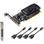 Изображение Видеокарта PNY NVIDIA QUADRO P620 2GB 4mDP/4DVI (VCQP620DVI-PB) Фото Видеокарта PNY NVIDIA QUADRO P620 2GB 4mDP/4DVI (VCQP620DVI-PB)