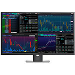 Изображение DELL 43" P4317Q Фото DELL 43" P4317Q