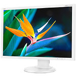 Изображение NEC 24" EA241WU White Фото NEC 24" EA241WU White