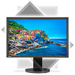 Изображение NEC 24" PA243W Black Фото NEC 24" PA243W Black