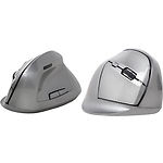 Изображение Мышка Gembird MUSW-ERGO-02 Фото Мышка Gembird MUSW-ERGO-02