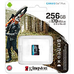Фото microSD XC 256 GB Kingston Canvas Go! Plus U3 A2 V30 C10 (SDCG3/256GBSP) без переходника, R170/W90
