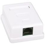 Изображение Розетка KINGDA KD-WP6034-C5e под RJ45, внешняя, 1-портовая, Cat 5e, белая Фото Розетка KINGDA KD-WP6034-C5e под RJ45, внешняя, 1-портовая, Cat 5e, белая