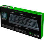 Изображение Клавиатура RAZER Cynosa Lite RGB Chroma (RZ03-02741500-R3R1) #2 Фото Клавиатура RAZER Cynosa Lite RGB Chroma (RZ03-02741500-R3R1) #2