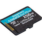 Фото microSD XC 256 GB Kingston Canvas Go! Plus U3 A2 V30 C10 (SDCG3/256GBSP) без переходника, R170/W90 #1