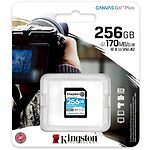 Фото SD XC 256 GB Kingston Canvas Go! Plus C10 UHS-I U3 V30 (SDG3/256GB) R170/W90 #1