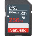 Фото SD XC 256 GB SanDisk Ultra Class 10 UHS-I (SDSDUNR-256G-GN3IN) R-100Mb/s