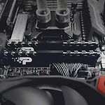Изображение DDR-4 2шт x 8GB 3200МГц Patriot Signature Line Premium (PSP416G3200KH1) CL22 #2 Фото DDR-4 2шт x 8GB 3200МГц Patriot Signature Line Premium (PSP416G3200KH1) CL22 #2