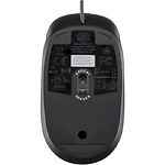 Изображение Мышка HP Optical Scroll Mouse (QY777AA) #1 Фото Мышка HP Optical Scroll Mouse (QY777AA) #1
