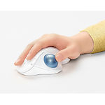 Изображение Трекбол Logitech Ergo M575 Bluetooth Offwhite (910-005870) #1 Фото Трекбол Logitech Ergo M575 Bluetooth Offwhite (910-005870) #1