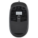 Изображение Мышка HP Laser Mouse USB (QY778AA) #1 Фото Мышка HP Laser Mouse USB (QY778AA) #1