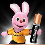 Изображение Батарейка DURACELL LR06 MN1500 AA (5006200) блистер 4шт #1 Фото Батарейка DURACELL LR06 MN1500 AA (5006200) блистер 4шт #1