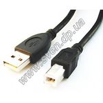 Изображение Кабель Gembird CC-USB 2.0 AM-BM-10, (printer) 3m Фото Кабель Gembird CC-USB 2.0 AM-BM-10, (printer) 3m