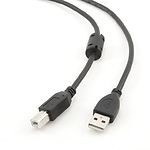 Изображение Кабель Cablexpert CCF-USB2-AMBM-10, Premium, 3m, феррофильтр, black (для принтера) #2 Фото Кабель Cablexpert CCF-USB2-AMBM-10, Premium, 3m, феррофильтр, black (для принтера) #2