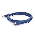 Изображение Кабель Cablexpert CCP-USB3-AMAF-6, 1.8m удлинитель, USB3.0 #2 Фото Кабель Cablexpert CCP-USB3-AMAF-6, 1.8m удлинитель, USB3.0 #2