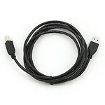 Изображение Кабель Cablexpert CCP-USB2-AMBM-6, 1.8m black, gold plated #2 Фото Кабель Cablexpert CCP-USB2-AMBM-6, 1.8m black, gold plated #2