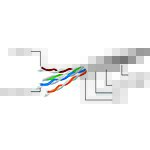 Изображение Кабель patch cord 0.5м FTP Grey Cablexpert PP22-0.5M #1 Фото Кабель patch cord 0.5м FTP Grey Cablexpert PP22-0.5M #1