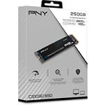 Изображение SSD PNY CS1030 250GB M.2 2280 NVMe PCIe3.0 (M280CS1030-250-RB) 2500/1100 Mb/s #2 Фото SSD PNY CS1030 250GB M.2 2280 NVMe PCIe3.0 (M280CS1030-250-RB) 2500/1100 Mb/s #2
