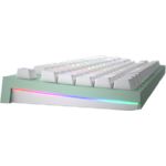 Изображение Клавиатура HATOR Skyfall TKL PRO Wireless Mint (HTK-667) ENG/UKR/RUS Mechanical #4 Фото Клавиатура HATOR Skyfall TKL PRO Wireless Mint (HTK-667) ENG/UKR/RUS Mechanical #4