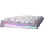 Изображение Клавиатура HATOR Skyfall TKL PRO Wireless Lilac (HTK-669) ENG/UKR/RUS Mechanical #4 Фото Клавиатура HATOR Skyfall TKL PRO Wireless Lilac (HTK-669) ENG/UKR/RUS Mechanical #4