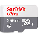 Фото microSD XC 256 GB SanDisk Ultra Class10 UHS-I (SDSQUNR-256G-GN3MN) без переходника, R100MB/s
