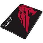 Фото SSD OCPC XTL-200 256Gb 2.5" SATA III (SSD25S3T256GLT) 510/450Mb/s #1