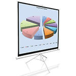 Фото Проекційний екран T85NWS1 Elite Screens