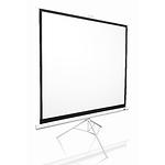 Фото Проекційний екран T85NWS1 Elite Screens #2