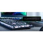 Фото Клавиатура RAZER DeathStalker V2 Red Switch RU (RZ03-04500800-R3R1) #2