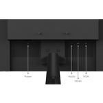 Изображение LENOVO 24" C24-40 (63DCKAT6UA) VA 1920x1080, 4мс, 3000:1, 250кд/м2, 75Гц, HDMI/DP #8 Фото LENOVO 24" C24-40 (63DCKAT6UA) VA 1920x1080, 4мс, 3000:1, 250кд/м2, 75Гц, HDMI/DP #8