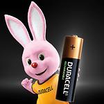 Фото Аккумулятор DURACELL AA/HR6 NiMh 2500 mAh (5007308) (4шт/blister) #1