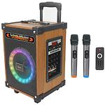 Изображение HOCO HA2 Wave Wooden (6942007604123) портативная колонка 45W, 4.5Ah аккум, BT, USB/SD, 2 микрофона Фото HOCO HA2 Wave Wooden (6942007604123) портативная колонка 45W, 4.5Ah аккум, BT, USB/SD, 2 микрофона