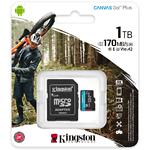 Изображение microSD XC 1TB Kingston Canvas Go! Plus U3 A2 V30 C10 (SDCG3/1TB) с SD переходником, R170/W90 Фото microSD XC 1TB Kingston Canvas Go! Plus U3 A2 V30 C10 (SDCG3/1TB) с SD переходником, R170/W90
