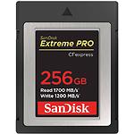 CFexpress Type-B 256GB SanDisk Extreme PRO (SDCFE-256G-GN4NN) R1700MB/s,W1200MB/s - фото