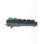 Изображение Клавиатура A4tech FS300 Panda Rock Climbing, механическая игровая, подсветка, FS Switches, USB #3 Фото Клавиатура A4tech FS300 Panda Rock Climbing, механическая игровая, подсветка, FS Switches, USB #3