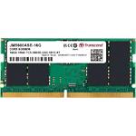 Изображение SO-DIMM 16GB DDR5 5600МГц Transcend (JM5600ASE-16G) Фото SO-DIMM 16GB DDR5 5600МГц Transcend (JM5600ASE-16G)