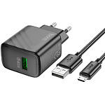 Фото Сетевое ЗУ Hoco CS21A Black (6942007609890) USB-A, QC3.0, 18W + Cable micro-USB #3