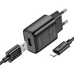 Изображение Сетевое ЗУ Hoco C134A Solid Black (6942007621311) 1*USB-A, 12W + Cable Lightning #2 Фото Сетевое ЗУ Hoco C134A Solid Black (6942007621311) 1*USB-A, 12W + Cable Lightning #2