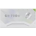 Фото Блок питания GAMEMAX GM 700B WH Fully-modular New, 80+Bronze, 700W, 14cм Fan, OPP/OVP/UVP/SCP #7