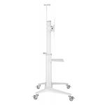 Зображення Підлогова підставка Gembird TVS-70T-02-W для 37 - 70", до 70 кг, Vesa 600 x 400 мм #4 Фото Підлогова підставка Gembird TVS-70T-02-W для 37 - 70", до 70 кг, Vesa 600 x 400 мм #4