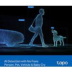 Фото Мережева камера TP-Link Tapo C246D, 2 об'єктива, WiFi 802.11n, 3МП, 2304*1296, IP65, поворот+нахил #10