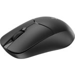 Фото Мишка RAPOO 1510 black Wireless, оптична #1