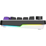 Фото Клавіатура HATOR Hellyberry HK75 wireless White-Violet механічна #2