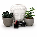 Зображення USB Flash 64Gb Wibrand Scarab USB3.2 Black (WI3.2/SC64P11B) #4 Фото USB Flash 64Gb Wibrand Scarab USB3.2 Black (WI3.2/SC64P11B) #4