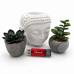 Фото USB Flash  128GB Wibrand Ladybug USB3.2 Red (WI3.2/LB128P10S) #4