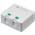 Изображение Розетка KINGDA KD-WP06-B под RJ45 внешняя двойная без кейстоунов Фото Розетка KINGDA KD-WP06-B под RJ45 внешняя двойная без кейстоунов