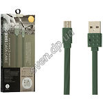 Изображение Кабель REMAX PC-01m Lego USB-MicroUSB 1,2м Green Фото Кабель REMAX PC-01m Lego USB-MicroUSB 1,2м Green