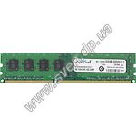 Изображение DDR-3 8GB PC-12800 (1600) Crucial (CT102464BA160B) (Micron) Фото DDR-3 8GB PC-12800 (1600) Crucial (CT102464BA160B) (Micron)