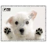 Изображение Коврик для мышки Podmyshku Лапы вверх размер 190х240 мм Фото Коврик для мышки Podmyshku Лапы вверх размер 190х240 мм